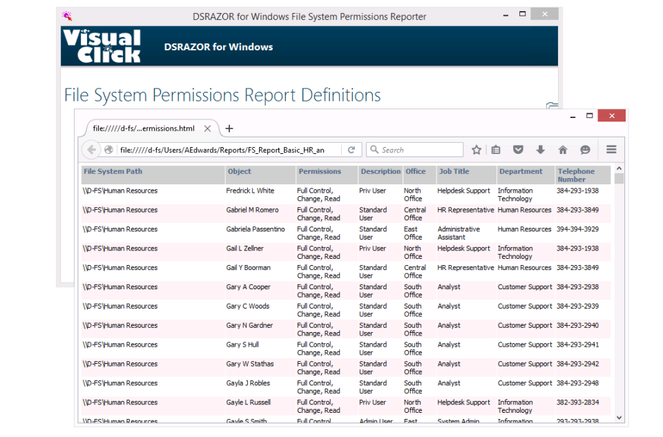 screenshot of DSRAZOR for Windows